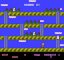 Rodland (Europe) box art